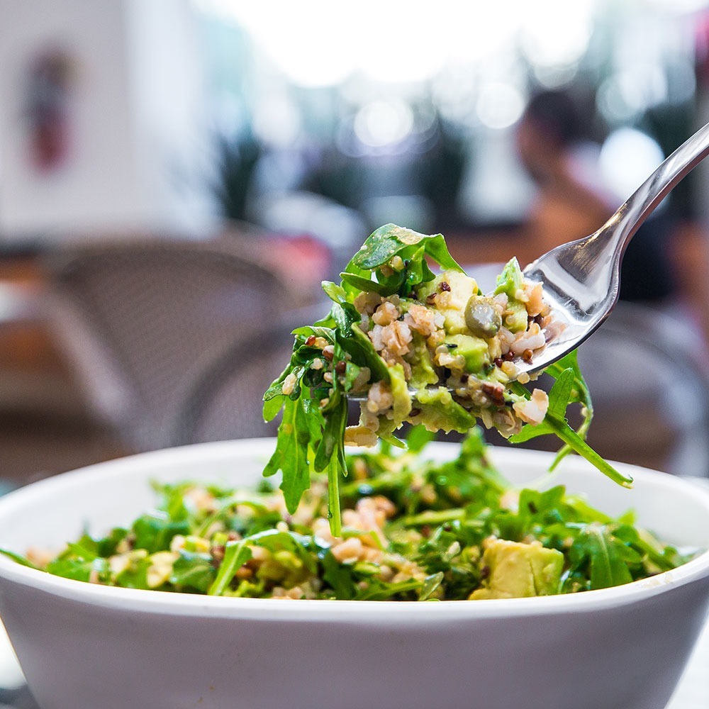 Bowls Carrot Express